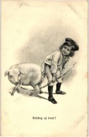 T2 New Year, Pig With Swineherd - Unclassified