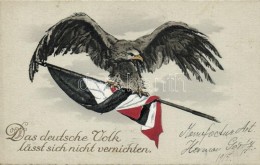 T2/T3 Das Deutsche Volk Lässt Sich Nicht Vernichten / The German People Can Not Be Destroyed, WWI German... - Unclassified