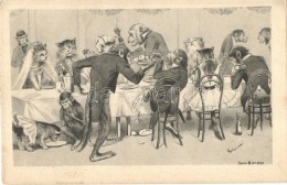 * T2/T3 Cats And Monkeys At The Table, Art Postcard, D. & Co. B. Serie 2103. (fl) - Non Classificati