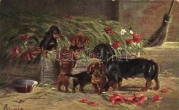 * T2/T3 Dachshund Dog, Art Postcard, Erika No. 3952 S: Schröpler (EK) - Unclassified