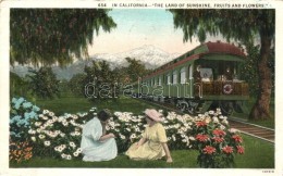 T2/T3 California, Land Of Sunshine, Fruits And Flower, Train (Rb) - Unclassified