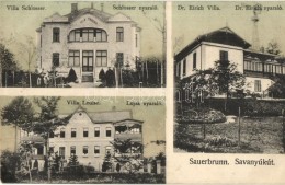 T2/T3 Savanyúkút, Sauerbrunn; Schlosser, Lujza és Dr. Eirich Nyaraló / Villas (EK) - Unclassified