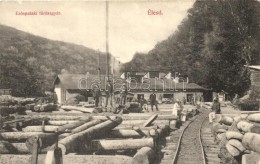 * T2/T3 Élesd, Alesd; ErdÅ‘spataki FÅ±részgyár / Sawmill (EK) - Non Classificati