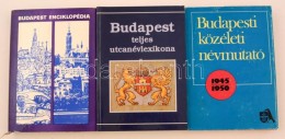 Vegyes Budapest Témájú Könyvek, 3 Db:
Budapest Enciklopédia. Szerk: Tóth... - Non Classificati