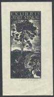 Antonín DoleÅ¾al (?-?) : Ex Libris, Fametszet, Papír, Jelzett, 9×4cm - Altri & Non Classificati