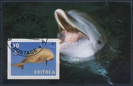 O Eritrea 2001 Delfin Blokk - Altri & Non Classificati