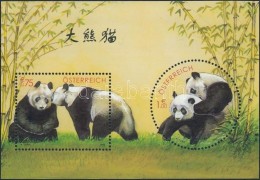 ** 2003 Panda Kutatás A Schönbrunni állatkertben Blokk Mi 18 - Other & Unclassified