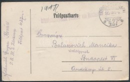 1917 Tábori Posta LevelezÅ‘lap / Field Postcard 'Infanterieregiment...' + 'TP 427 A' - Other & Unclassified