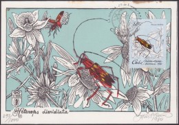 TMA-69 CUBA 1980 FDC MAXIM CARD ENTOLOMOLOGIA. ENTOMOLOGY. GRABADO ORIGINAL DE OTTON - Maximum Cards