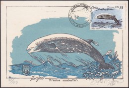 TMA-70 CUBA 1980 FDC MAXIM CARD ENTOLOMOLOGIA. CETACEOS. FISH PECES. ONLY 100. GRABADO ORIGINAL DE OTTON - Tarjetas – Máxima