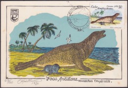 TMA-71 CUBA 1980 FDC MAXIM CARD ENTOLOMOLOGIA. FOCA. FISH PECES. ONLY 100. GRABADO ORIGINAL DE OTTON - Maximum Cards