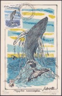 TMA-73 CUBA 1980 FDC MAXIM CARD ENTOLOMOLOGIA. CETACEOS. FISH PECES. ONLY 100. GRABADO ORIGINAL DE OTTON - Maximum Cards