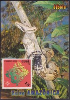 TMA-81 CUBA 2001 FDC MAXIM CARD CHINA YEAR MOON SNIKE. AÑO LUNAR SERPIENTE. - Tarjetas – Máxima