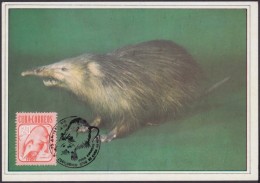 TMA-86 CUBA 1985 SPECIAL CANCEL MAXIM CARD ALMIQUI MOUSE. - Maximum Cards