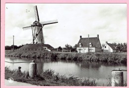 DAMME - De Molen - Damme