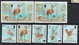 1994 Cayman Islands Ducks Birds   Complete Set Of 4 And 1 (ONE) Souvenir Sheet  MNH - Cayman Islands