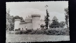 CPSM D63 Chateau De La Roche - Aigueperse