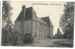 Brinon Sur Sauldre  Chateau Des Bordes - Brinon-sur-Sauldre