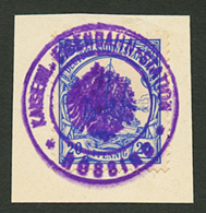 20pf Canc. EISENBAHN STATION ROSSING In Violet On Piece. Vvf. - German South West Africa