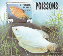 Benin Block49 (complete Issue) Unmounted Mint / Never Hinged 1999 Aquarium Fish - Other & Unclassified