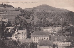 G , Cp , 68 , ORBEY (alt. 500 M.) , Le Faudé Et Les Établissements - Orbey