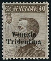 Neuf Sans Charnière N° 24/7, 40, 45, 50 Et 1l Venezia Tridentina, Les 4 Valeurs T.B. Sassone 24/7 : 1875... - Autres & Non Classés