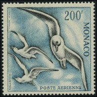 Neuf Sans Charnière N° 66/68, La Série Oiseaux De Mer, Dentelé 13 T.B. - Altri & Non Classificati