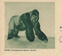 Suisse: Entier N° 193/14 BASEL Zoologischer Garten; Gorilla  Obl: Sessa 07/08/1963 - Gorilles