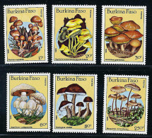 Burkina Faso ** N° 676 à 681 - Champignons (cl.10- P.45) - Burkina Faso (1984-...)