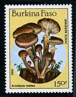 Burkina Faso ** PA N° 311 - Champignons (cl.10 -p.45) - Burkina Faso (1984-...)