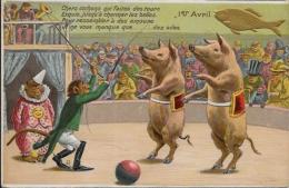 CPA Fantaisie Cochons Pig Position Humaine Humanisé Singe Monkey Gaufré Non Circulé Poisson D´avril Cirque - Animaux Habillés