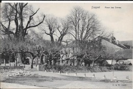 Coppet - Place Des Ormes - Coppet