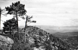 CPSM   La Garde Freinet - La Garde Freinet