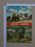 ANGOLA    - ESTUFA FRIA - NOVA LISBOA    - (Nº15418) - Angola