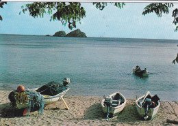 SAINT - BARTHELEMY  - Canots De Peche Sur La Plage De Corossol - Saint Barthelemy