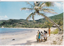 Antilles Françaises - SAINT - BARTHELEMY  - Plage De Lorient - Saint Barthelemy