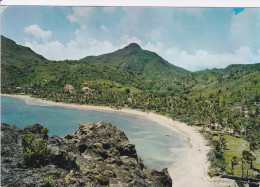 971 - Antilles Françaises - SAINT - BARTHELEMY  - Plage De Lorient - Saint Barthelemy