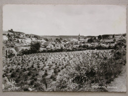 Vencimont, Panorama - Gedinne