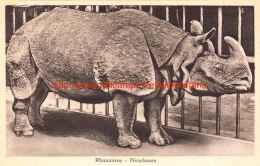 Neushoorn - Rhinocéros