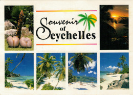 SEYCHELLES   MALE & FEMALE COCO DE MER-  SUNSET- BEACH SCENERIES     (VIAGGIATA) - Seychellen