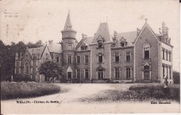 WELLIN -- Château Du Bestin ( Dos NON Divisé ) - Wellin