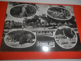 B659 Somalia Saluti Viaggiata - Somalie