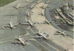 KLOTEN - AEROPORT - DIVERS AVIONS - 1984 - Kloten