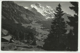 WENGEN  JUNGFRAU VIAGGIATA FP - Andere & Zonder Classificatie