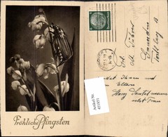 451851,Pfingsten Maikäfer Käfer Maiglöckchen Blumen - Pfingsten
