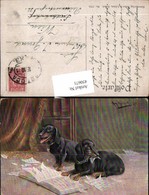 450671,Künstler AK Moritz Müller München Hunde Dackel Buch Papierfetzen - Müller, August - München