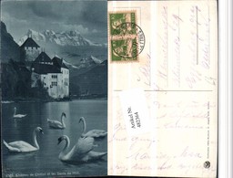 482364,Chateau De Chillon Schloss B. Veytaux Schwäne Bergkulisse Kt Waadt - Veytaux