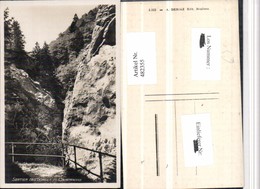 482355,Sentier Des Gorges De Covatannaz Schlucht B. Sainte-Croix Kt Waadt - Sainte-Croix 
