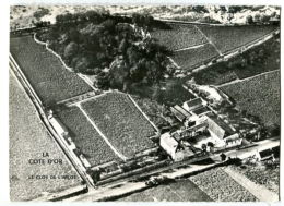 La Côte D’Or Le Clos De L’Arlot - La Chapelle La Reine