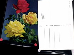Delcampe - 490983,3D 3 D 3-D Karte Wackelkarte Rose Gelbe Rote Rosen - Sonstige & Ohne Zuordnung